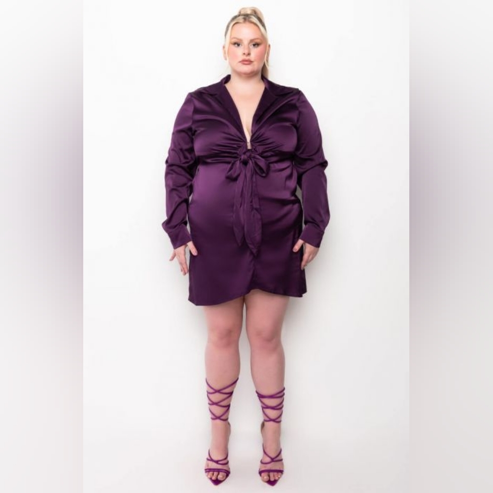 NWT Plus Deep V Neck Mini Dress, Purple, Size 1X